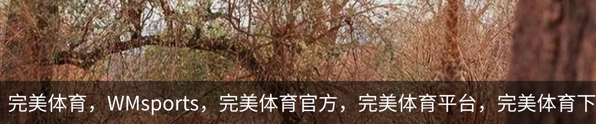 完美体育，WMsports，完美体育官方，完美体育平台，完美体育下载案例